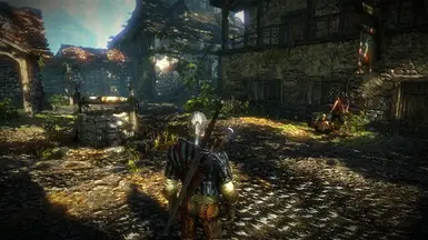 Images at The Witcher 2 Nexus - mods and community