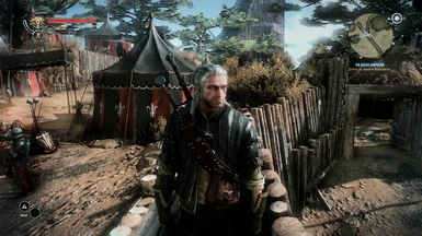 Simple Realistic The Witcher 2