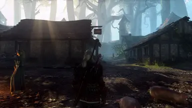 Realistic Visual The Witcher 2