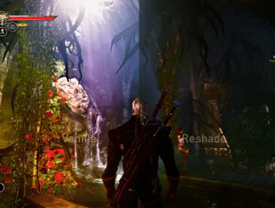 The Witcher 2 reshade preset