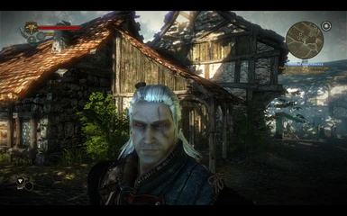 Pale Skin Geralt