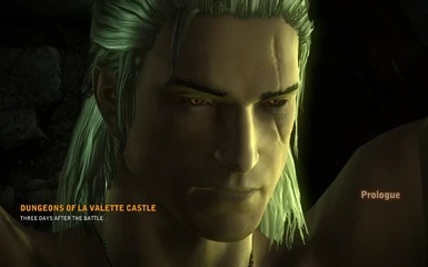 Geralt new face and body