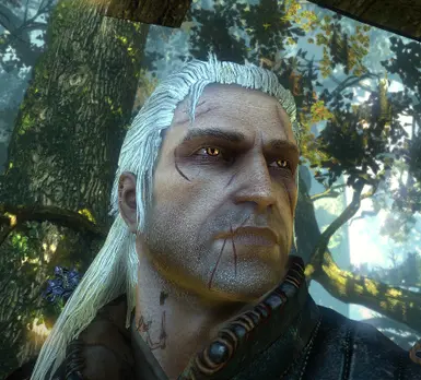 Battle Ravaged Geralt -Glowing Eyes and Lots of Options