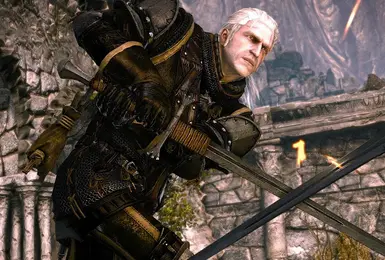 The Witcher 2 - Enhanced Camera Mod at The Witcher 2 Nexus - mods