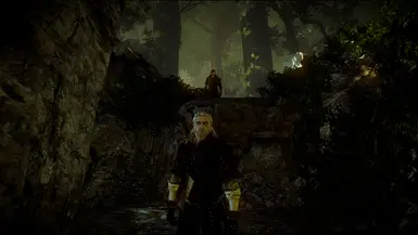 nexus mods witcher 2