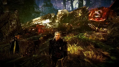 Witcher 1 All Paths End Game Saves at The Witcher Nexus - mods and community
