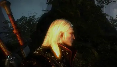 PS4 Interface Icons at The Witcher 2 Nexus - mods and community