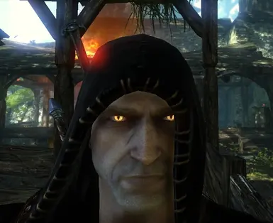 Geralt's Improved Quality of Life at The Witcher 2 Nexus - mods and  community