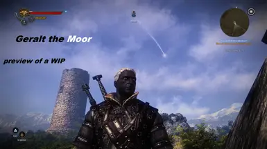 Work in Progress for Black Skin Geralt option