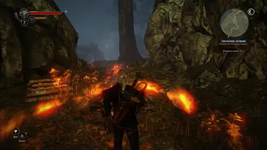 Nexus mods witcher 2 - sostrades