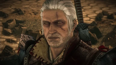 Geralt Complete Beard Mod