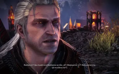 Geralt's Improved Quality of Life at The Witcher 2 Nexus - mods and  community