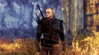 witcher2 EXE DX9 20150513 152051