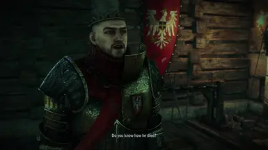 Geralt's Improved Quality of Life at The Witcher 2 Nexus - mods and community