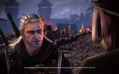 The Witcher 2 Insane Mod Save