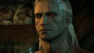 Geralt's Improved Quality of Life at The Witcher 2 Nexus - mods and  community
