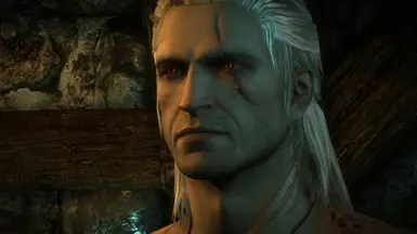 Geralt's Improved Quality of Life at The Witcher 2 Nexus - mods and  community