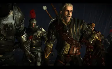 Nexus mods witcher 2 - sostrades