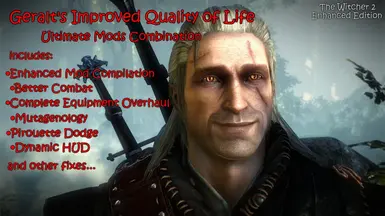 The Witcher 2 - Mods 