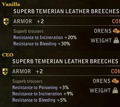 Superb Temerian Leather Breeches
