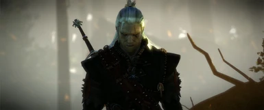 Witcher 3 Style Geralt - Irregular Pale Custom