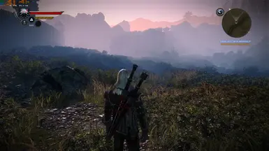 Geralt's Improved Quality of Life at The Witcher 2 Nexus - mods and  community