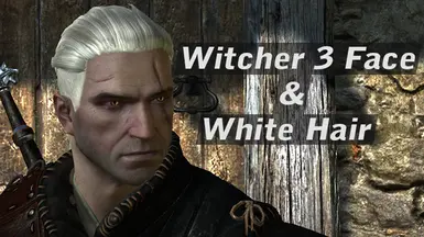 Download Witcher 1 Geralt face for witcher 2 for The Witcher 2