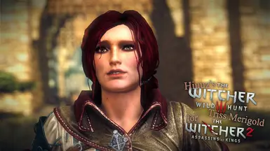 The Witcher 2: 10 Best Quality-Of-Life Mods