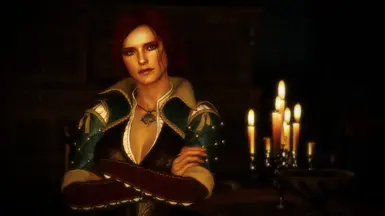 Witcher 3 Save Import - Roche And Triss Path