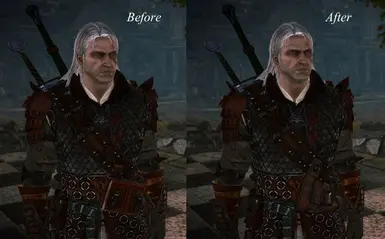 The Witcher 2 Enhanced Edition gets a 10GB must-have collection mod