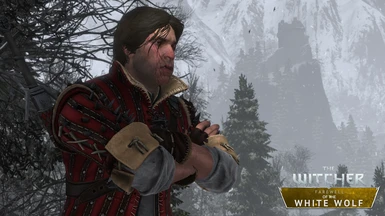 CD PROJEKT RED FANS: The Witcher: Farewell of the White Wolf propõe um  encerramento para a saga de Geralt + Várias perguntas do projeto respondidas