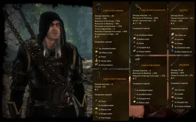 Bag instead of book at The Witcher 2 Nexus - mods and community