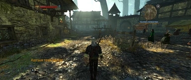 witcher 2 mod guide