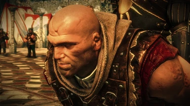 The Witcher 2 Character Collection - (OUTDATED) at The Witcher 2 Nexus -  mods and community