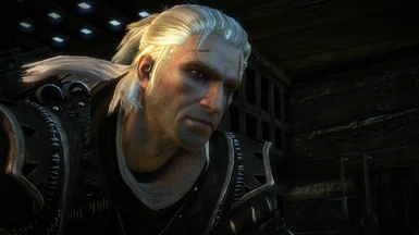 The Witcher 2 Character Collection - (OUTDATED) at The Witcher 2 Nexus -  mods and community