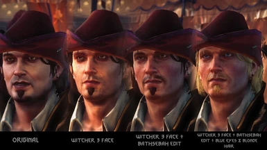 The Witcher 2 Character Collection - (OUTDATED) at The Witcher 2