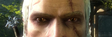 Witcher 3 eyes for Geralt
