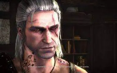 The perfect save to import to The Witcher 3 (included Temerian forces tattoo)