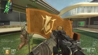 Flags