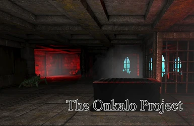 The Onkalo Project