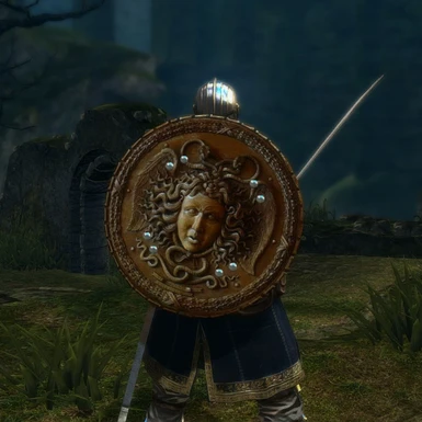 Large Leather Shield