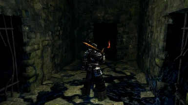 nexus mods dark souls black knight respawn