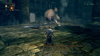 Dark Souls 2 Enemy Randomizer mod is a game changer