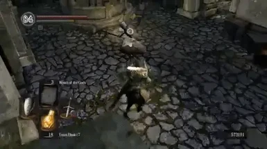 (EXPERIMENTAL) Omni-directional rolling, similar to Dark Souls 2 (PvE only)