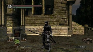 Shadow Ninja Armor (Smoke Metallic) with Hollow Thief Armor