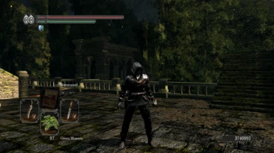 Thief Armor Witcher Geralt (Gray) with Hollow Thief Captain Armor