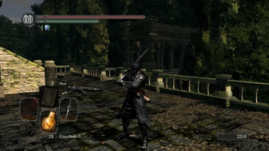 Dark Wraith Knight with Wanderer Black Swordsman Armor