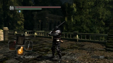 Dark Wraith Knight with Wanderer Thief Witcher Armor