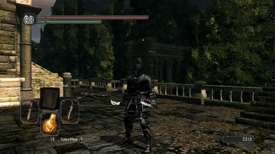 Dark Wraith Knight with Wanderer Hollow Thief Captain Armor