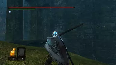 Silver dragon shield